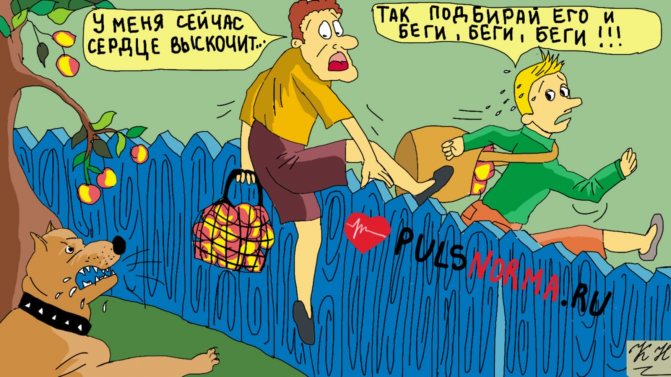 Бег для здоровья сердца и сосудов
